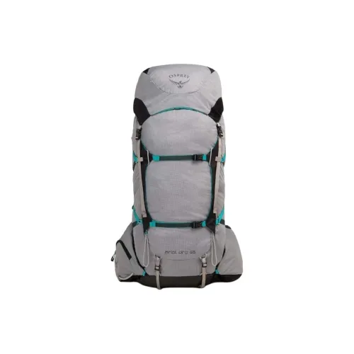 OSPREY Нейлон На открытом воздухе Альпинистский рюкзак Рюкзак Большой Женские Explorer Серый