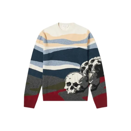 Alexander McQueen Многоцветные Мужские Свитера