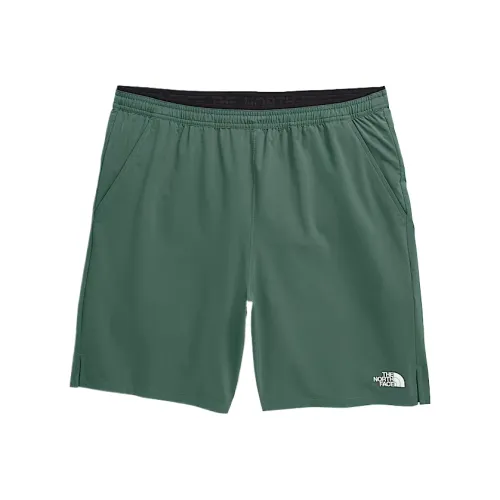 THE NORTH FACE Зеленые Мужские Спортивные Шорты