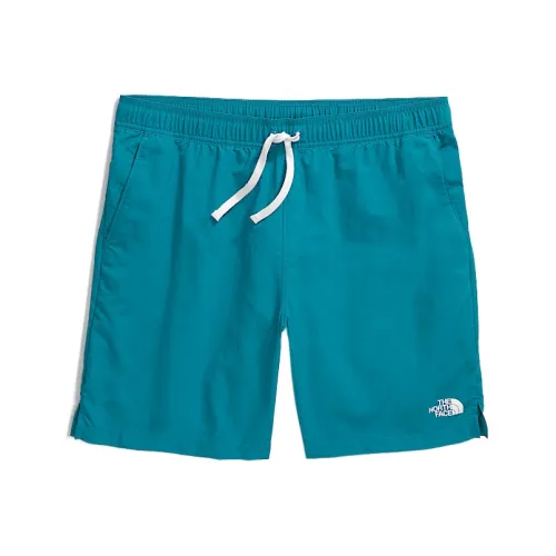 The North Face Синий Мужские спортивные шорты