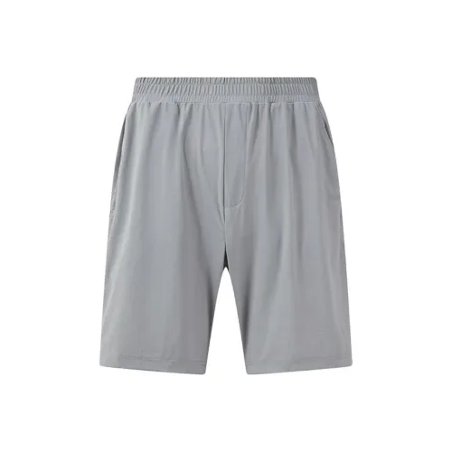 Пони Серый Мужские Повседневные Шорты