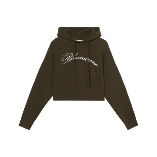 Blumarine Зеленые Женские Свитеры