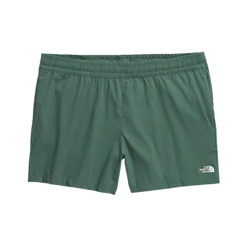The North Face Зеленые Женские Спортивные Шорты