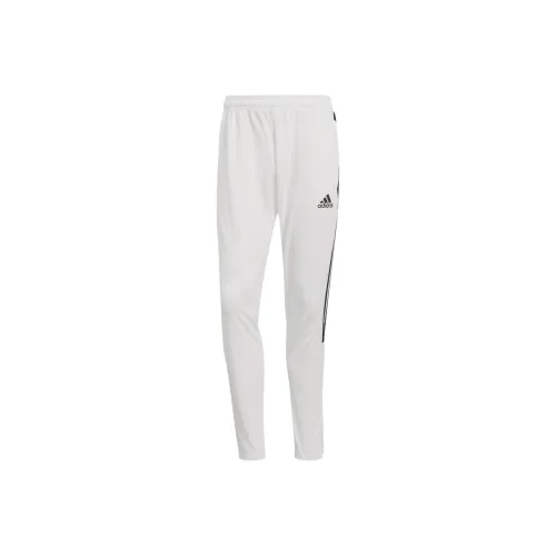 Adidas Вязаные Тренировочные Штаны Мужские Белые