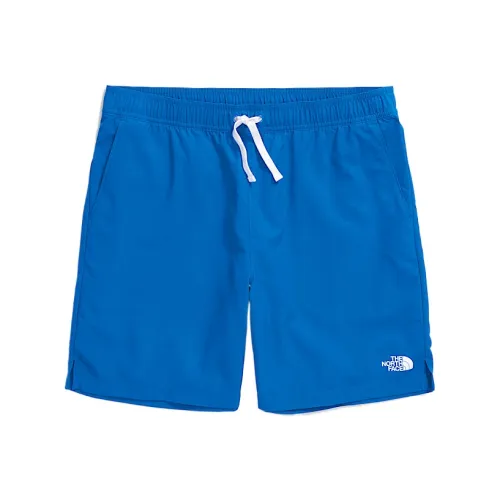 The North Face Hero Blue Мужские спортивные шорты