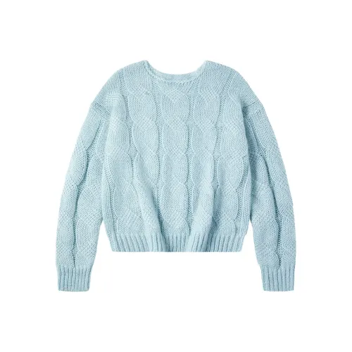 PSO Brand Серо-голубые Женские Свитеры