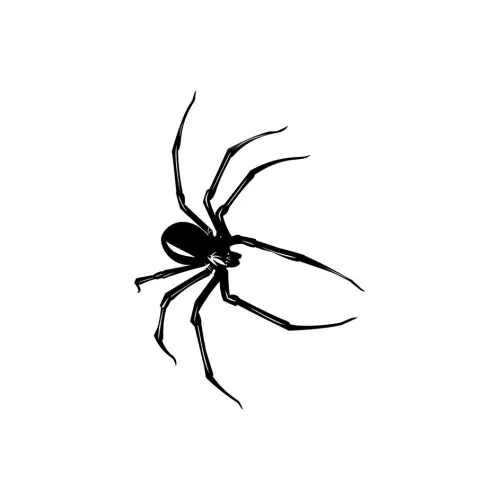 XNTX Временные татуировки унисекс