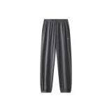 Метеоритный серый