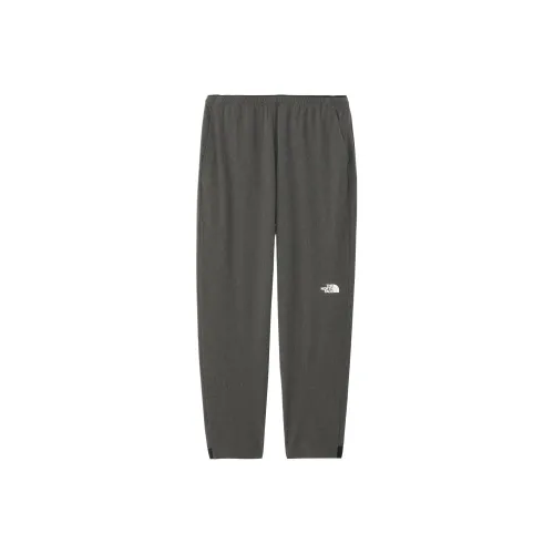 The North Face Коричневые Женские Спортивные Брюки