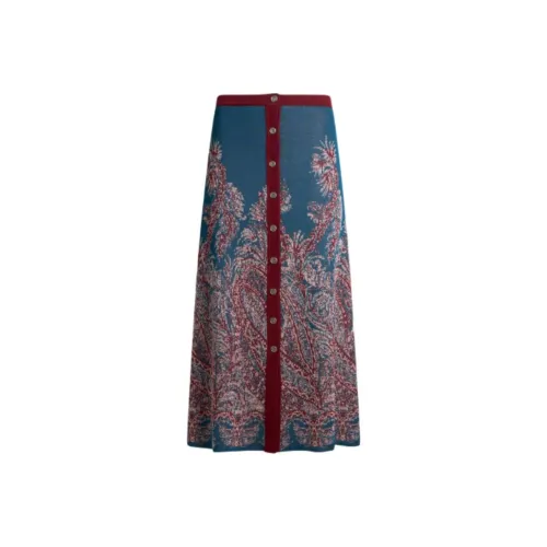 ETRO Светло-синие Женские Повседневные Длинные Юбки