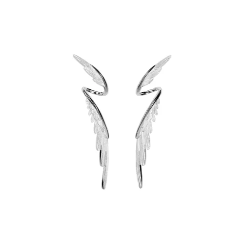 CANHUI Сплав Серьги-гвоздики Унисекс