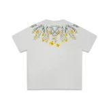 Туманно-серый