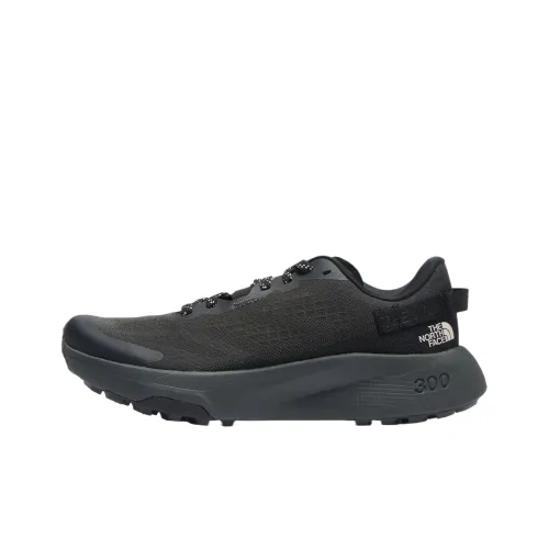 THE NORTH FACE Altamesa 300 Беговые кроссовки Низкий топ Асфальт Женские