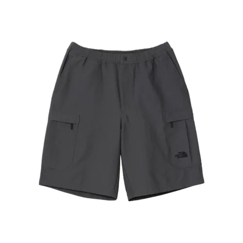 THE NORTH FACE Карго шорты мужские