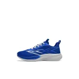 Синий Кляйна