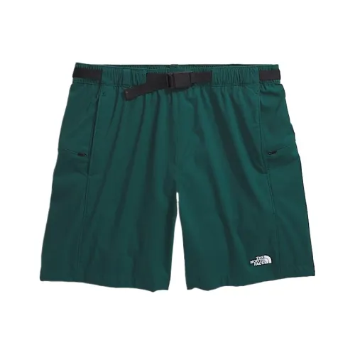 The North Face Мужской CLASS V Pathfinder Belted 7'' Шорты Повседневные шорты Мужской