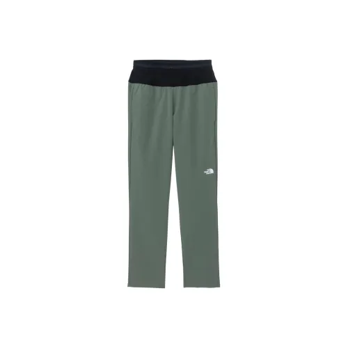 THE NORTH FACE Зеленые Спортивные Брюки для Мужчин