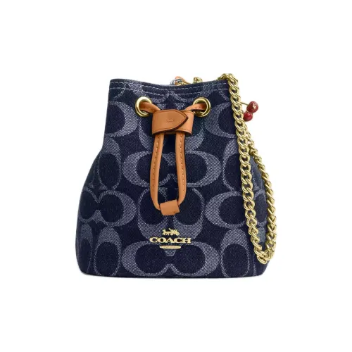 COACH Шнур Ткань Сумка Сумка через плечо Мини Женская Синяя