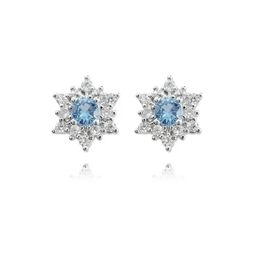 CANHUI Сплав Серьги-гвоздики Женские