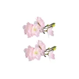 Заколка для волос "Слэш Цветы", 1 пара