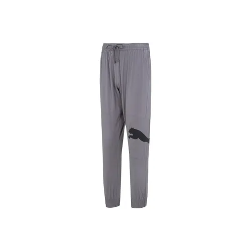 PUMA PTC Серые Мужские Повседневные Штаны