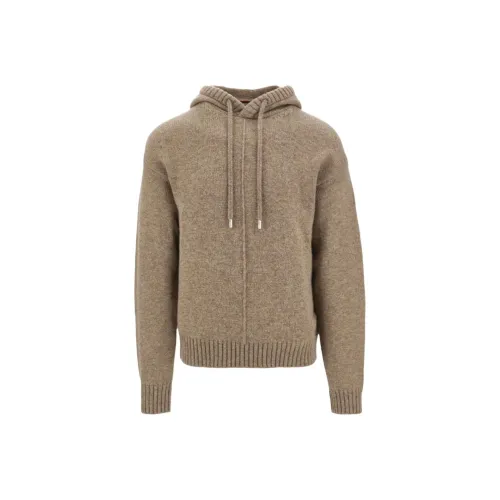 Ferragamo Песочно-бежевые Мужские Свитера