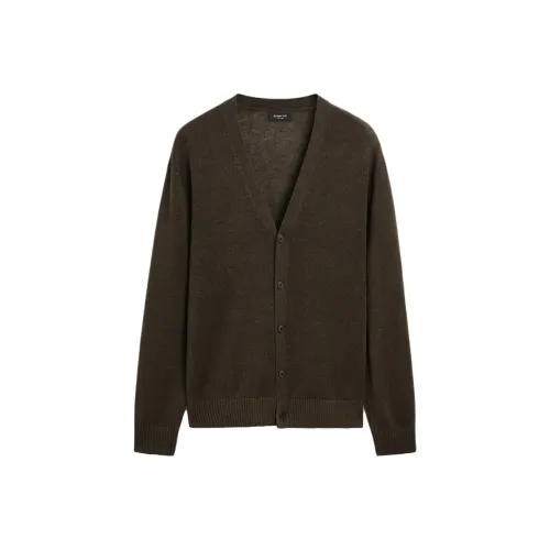 Massimo Dutti Коричневый Мужской Трикотаж