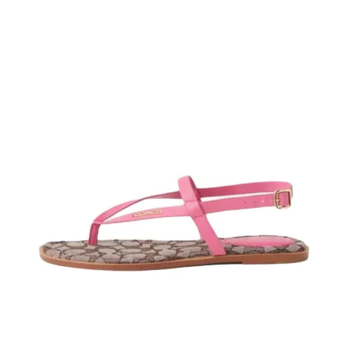 COACH Josie One Ремешок Сандалии Женские Розовые