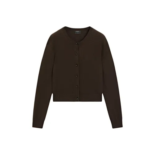 Massimo Dutti Коричневый Женский Трикотаж