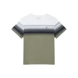 Зелёные полосы 03067082