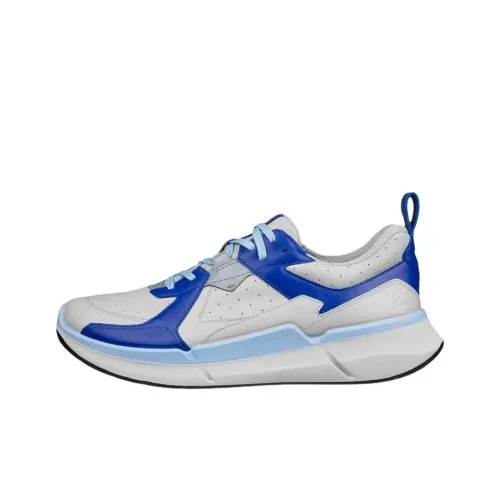 Ecco Biom 2,2 Low Топ Casual Мужской Серый Синий