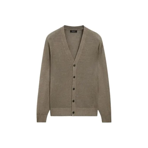 Massimo Dutti Серый Коричневый Мужской Трикотаж