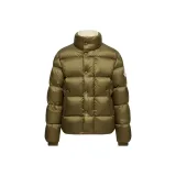 Тёмно-зелёный