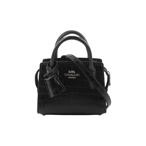 COACH Andrea Кожа Сумка через плечо Сумка Мини Women's Silver Черный