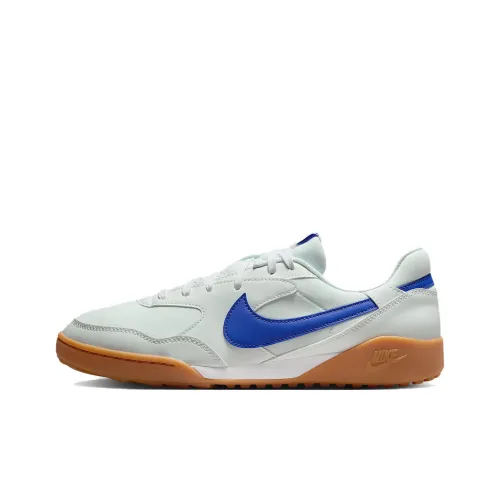 Nike Terra Manta Повседневный Низкий Топ Светло-Синий Мужской