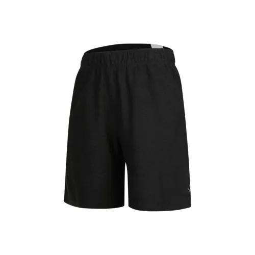 Nike Мужские спортивные шорты черного цвета