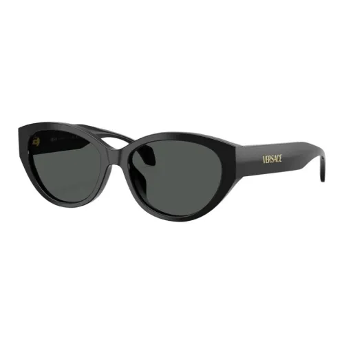 VERSACE Ацетат OVAL SUNGLASSES Женские Черный