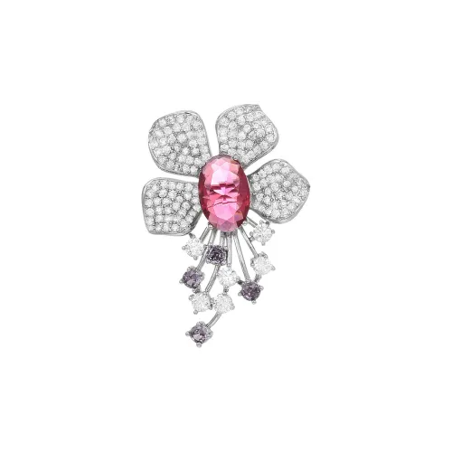 Marco Bizzarri Броши Женские