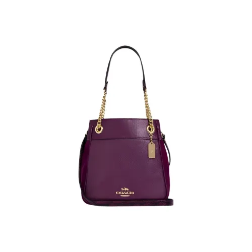 COACH Cammie Кожа с Замшей Ведрообразная Сумка Сумка через плечо Средняя Женская Ягодно-красный