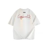 Бело-серый вереск (Order and Get Наклейка Climbing Quickdraws бесплатно)