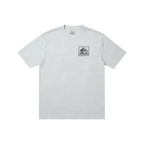 Дворцовый Серый Мужские T-Рубашки