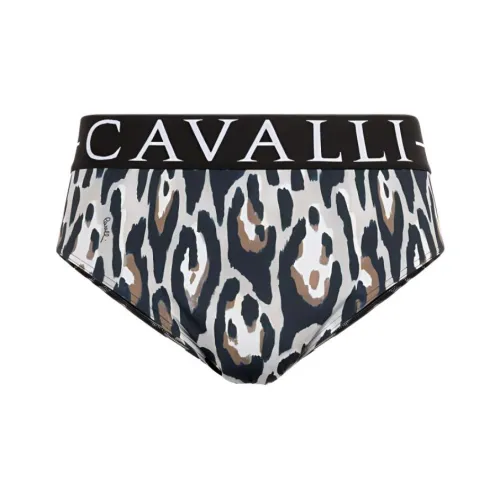 Roberto Cavalli SS24 Плавательные шорты Мужские Коричневые