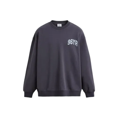 ZARA Темно-фиолетовый Мужской Свитшот