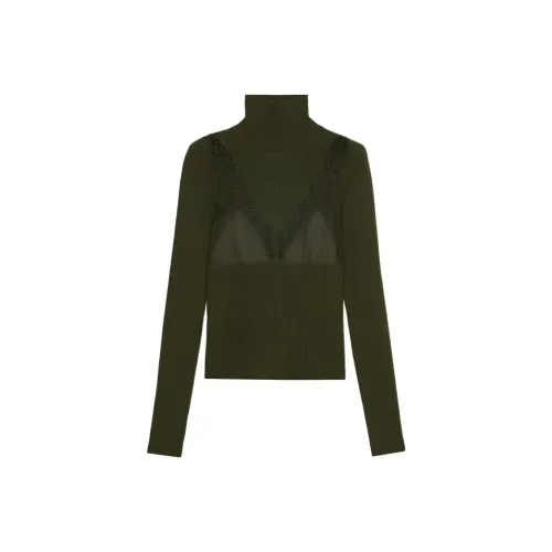 Blumarine Зеленые Женские Свитеры