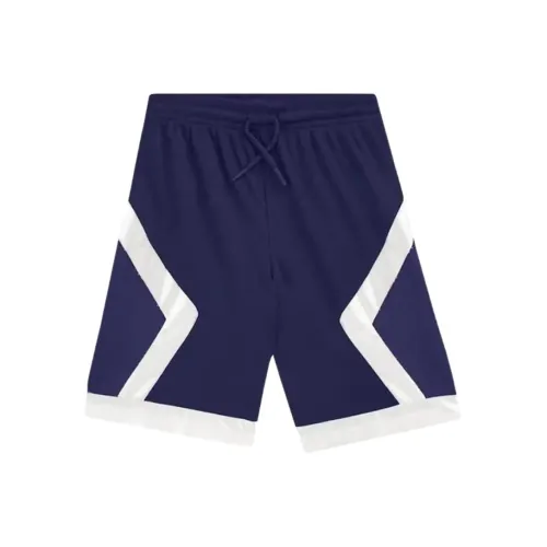 DIOR X AIR Jordan Баскетбольные шорты Мужские Морской синий