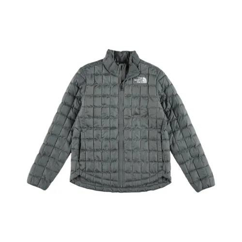 The North Face Куртка г TNF Теплоизоляционный Изоляция Детский