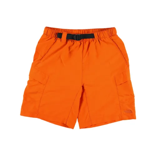 THE NORTH FACE Карго шорты мужские