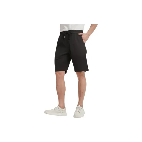 Ancient Shark Повседневные шорты Мужские