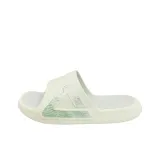 Бамбук Зеленый Разреженная Тень