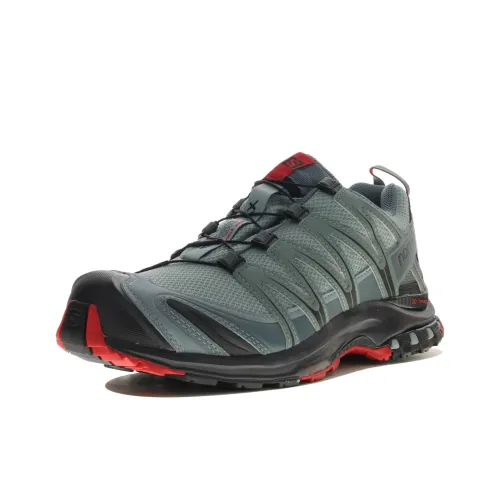 SALOMON XA PRO 3D Устойчивые к истиранию Низкие Кроссовки для бега Мужские Серые